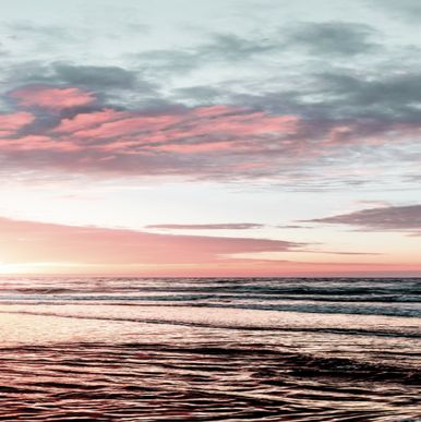 Mercedes Sprinter - der Inbegriff von Luxus